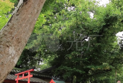 ​梦见雨神 雨师