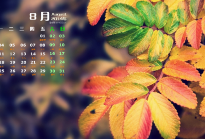 ​梦见自己飞