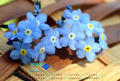 ​梦见父亲车祸