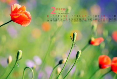 ​梦见回到孩童时代