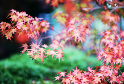 ​梦见干渴