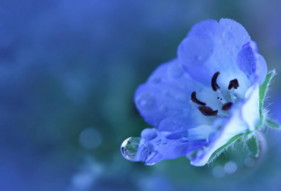 ​梦见水疱