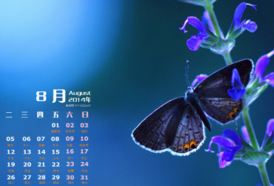 ​梦见痛骂