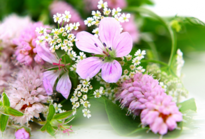​梦见蓝莓