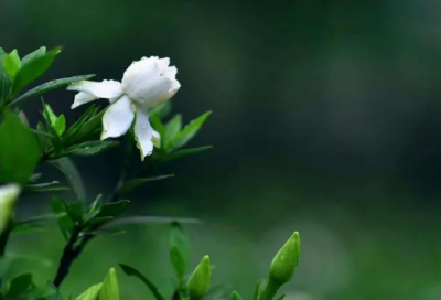 ​梦见手链碎裂