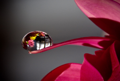 ​梦见万花筒