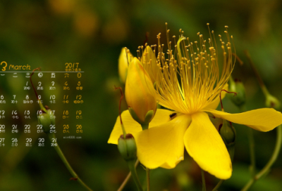 ​梦见泡泡糖