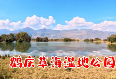 ​梦见别人拿刀