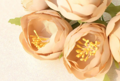 ​梦见送花